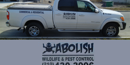 Abolish Pest & Wildlife Control