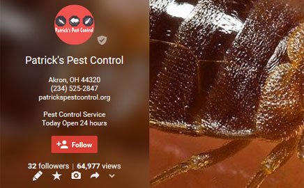 Patrick's Pest Control - Akron, OH
