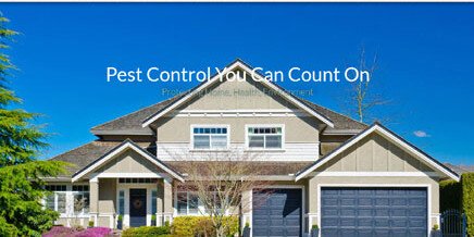 Insight Pest Solutions